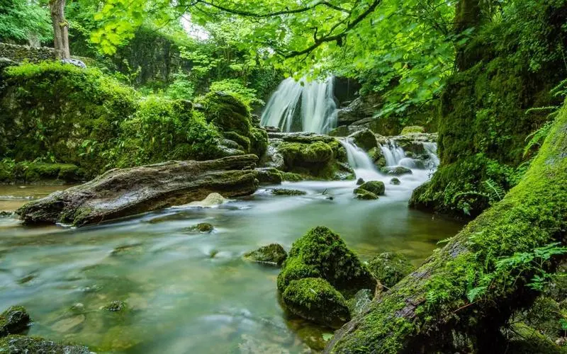 高精度高标准自动化